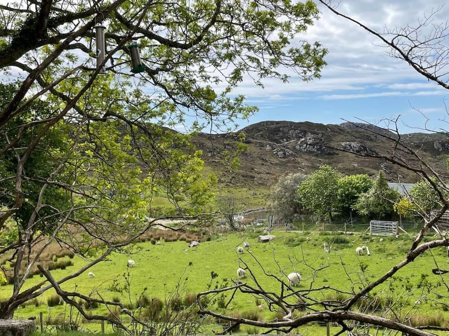 Beautiful Cottage In A Wonderful Highland Setting Drumbeg 외부 사진