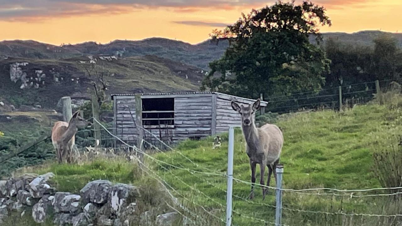 Beautiful Cottage In A Wonderful Highland Setting Drumbeg 외부 사진